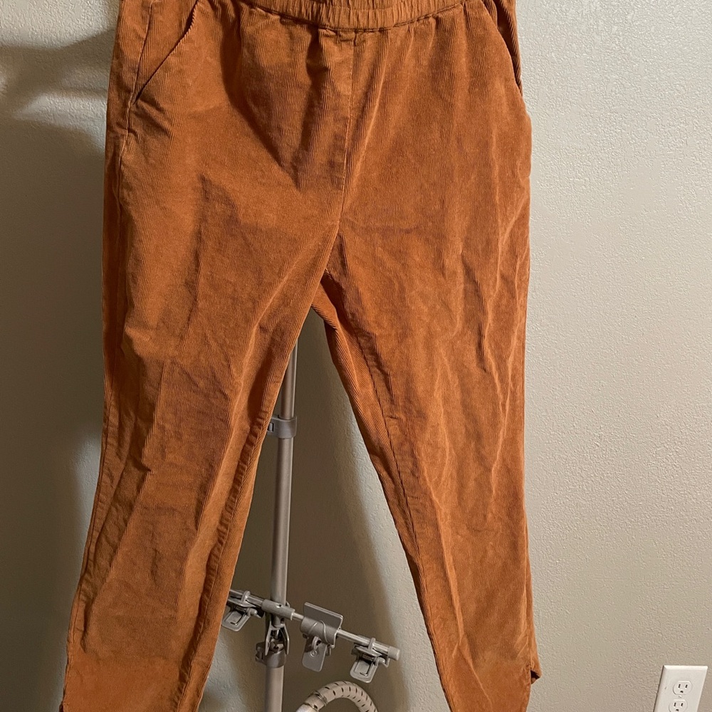 Marine Layer Terracotta Corduroy Pants